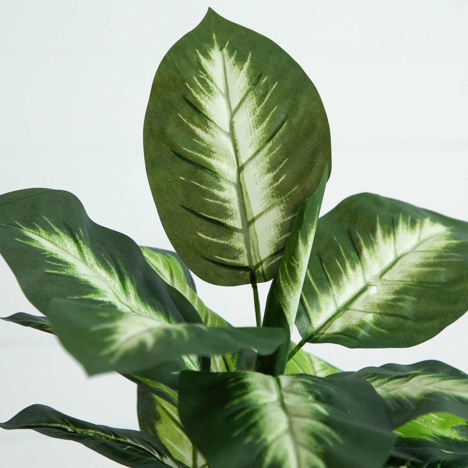 Nearly Natural 20″ Artificial Golden Dieffenbachia Plant – Set of 6 in Green