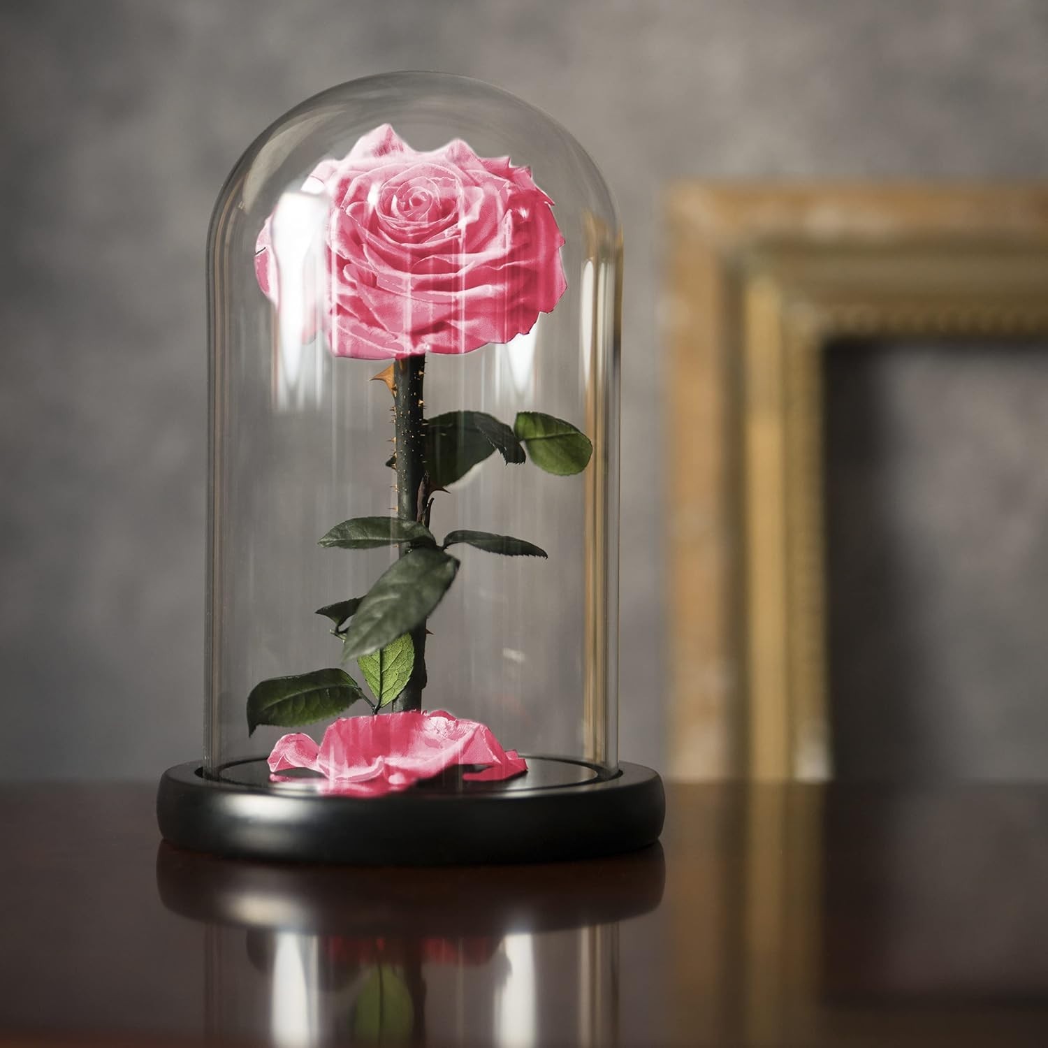 Long-lasting Pink Rose in Glass Dome – Elegant Gift for Every Occasion (9 Inch)
