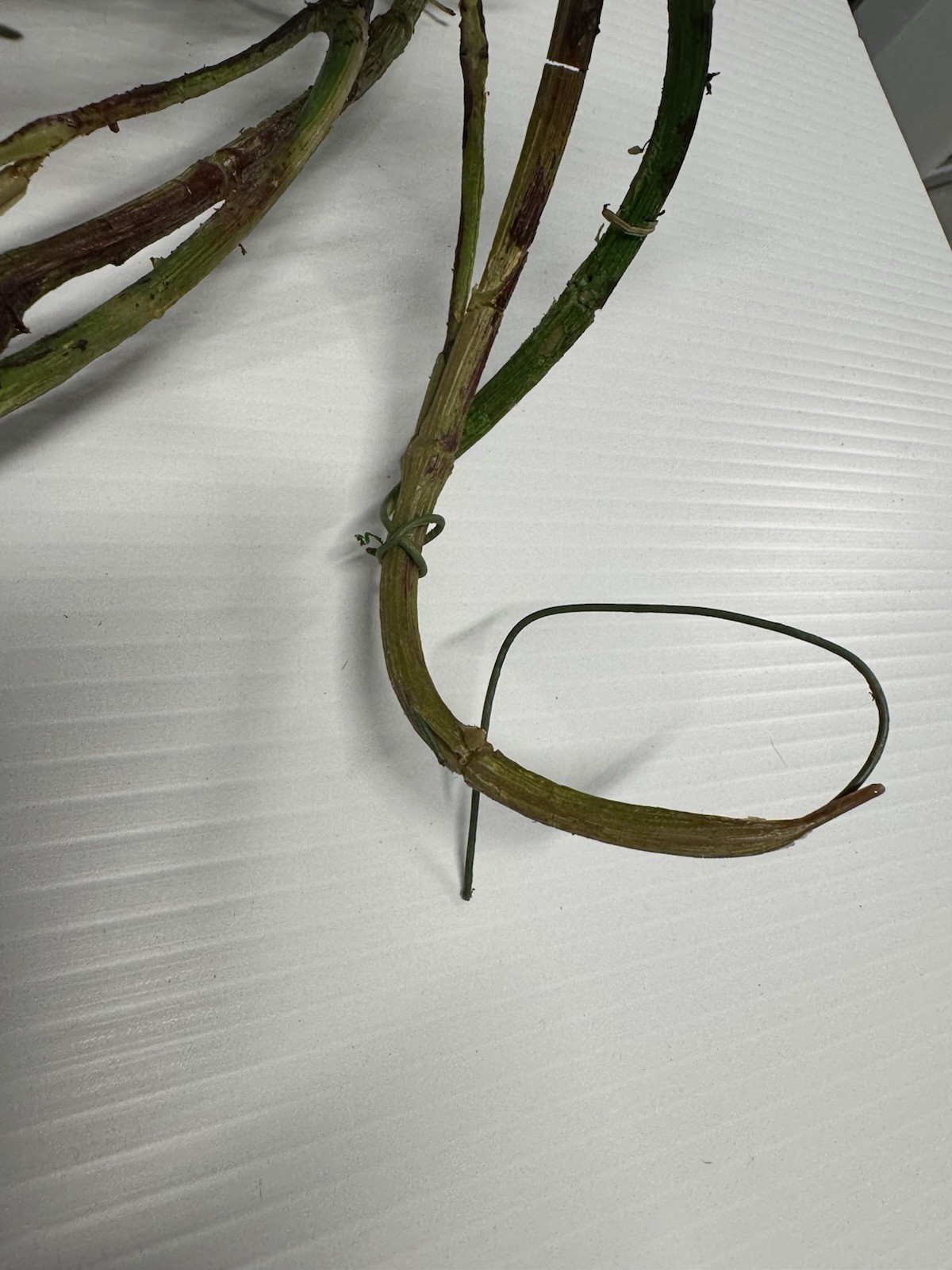 Lot of 2 6ft + Olive Branch Garlands Artificial Olive Tree Farmhouse Decor Wine