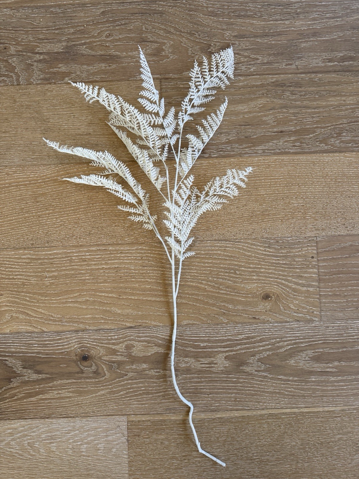 CB2 Modern 36” Faux White Fern & 51” Champagne Gold Willow Leaf Holiday Florals