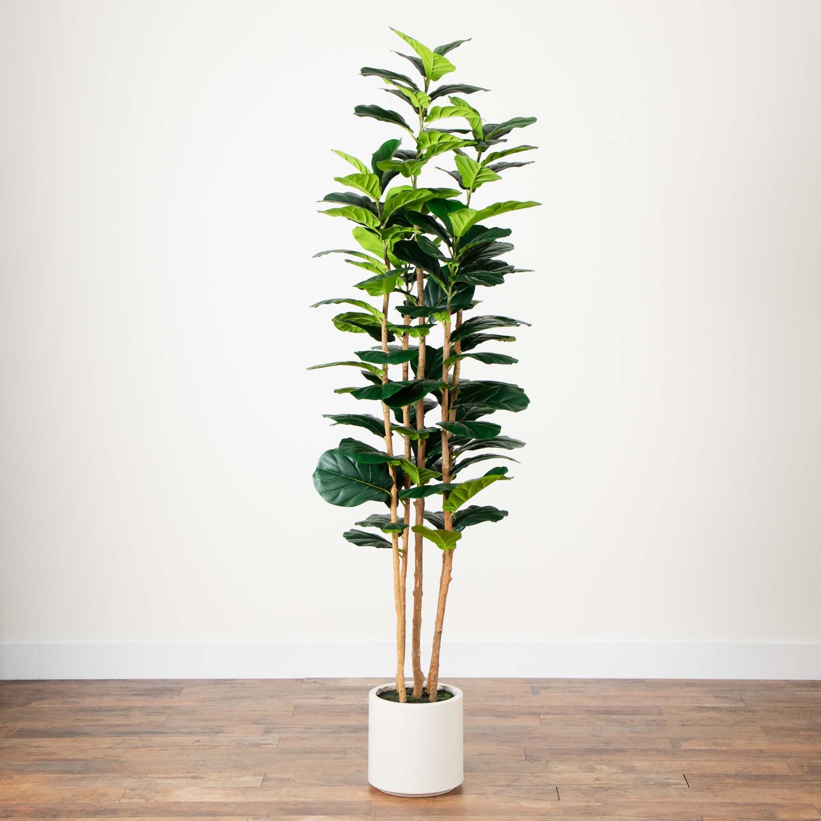 Nearly Natural 7ft Artificial Fiddle Leaf Tree in Decorative White Planter