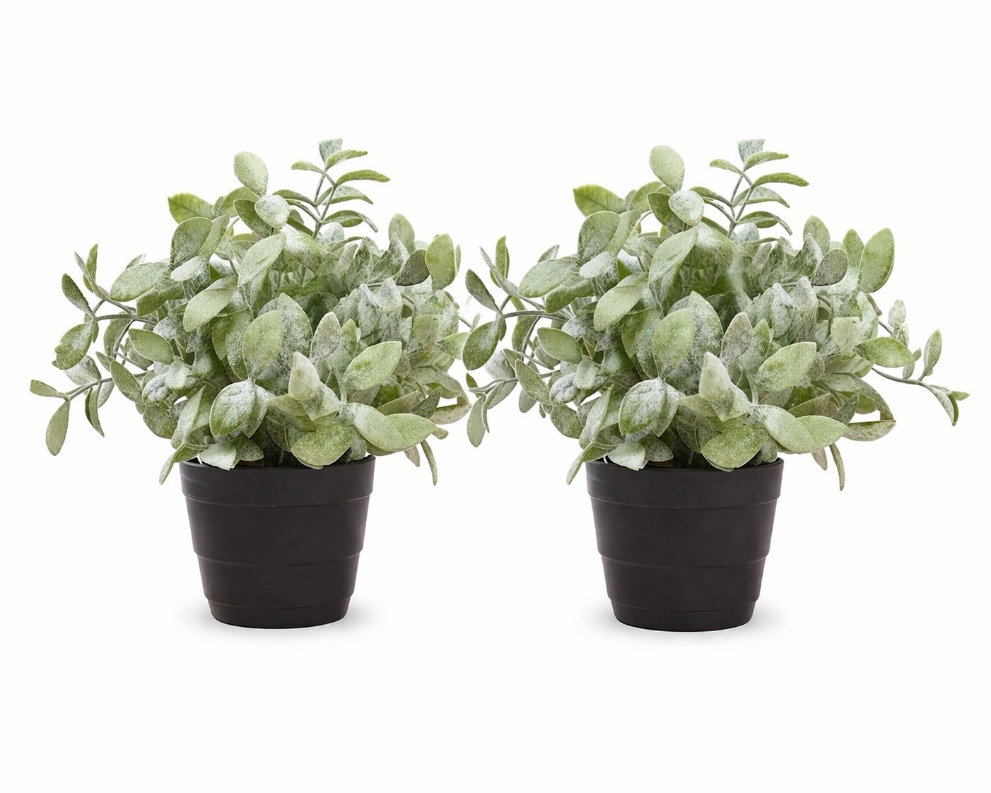 Set Of 2 Artificial Thyme Potted Plant 11” H Herb In/Outdoor Fake Plant Decor