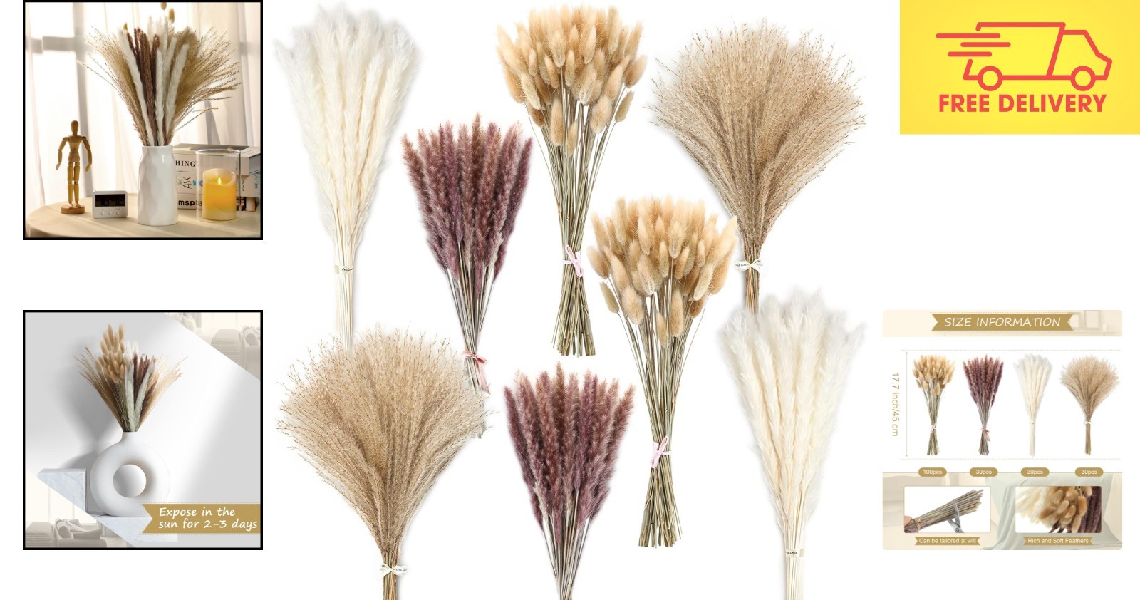 Versatile Dried Pampas Grass Decor – 190 Pieces for Weddings & Home Styling