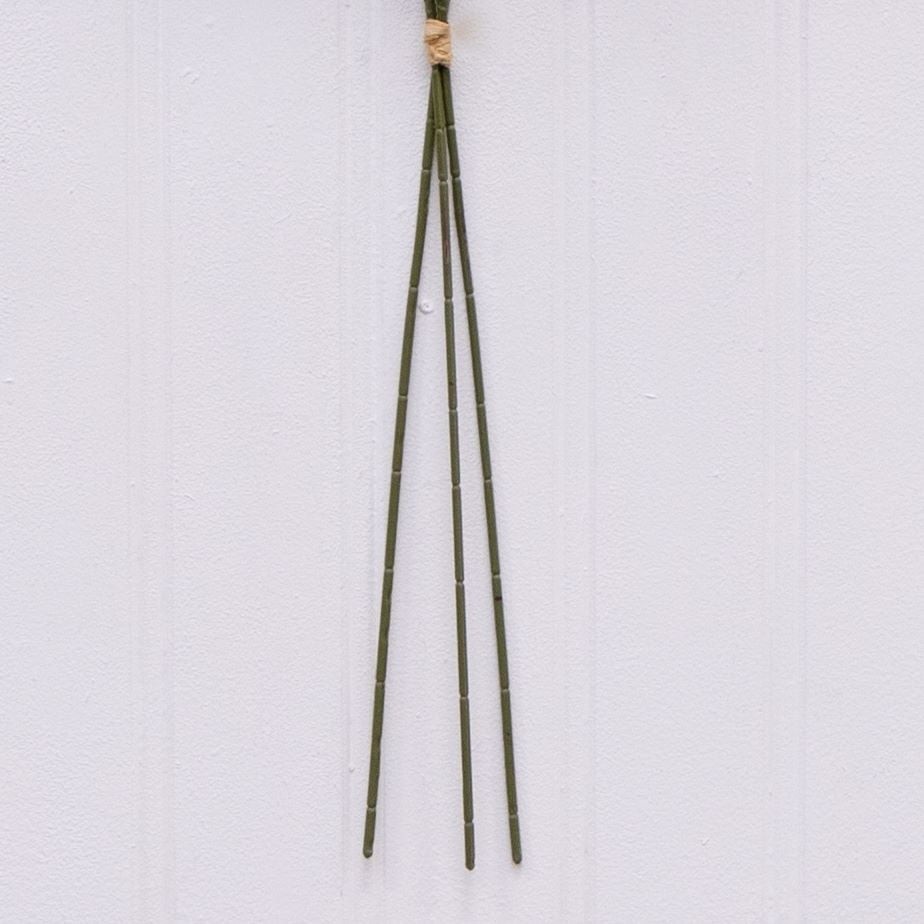 Indoor Decorative Dried Rice Stems Bundle Natural Rustic Home Decor Set of 3