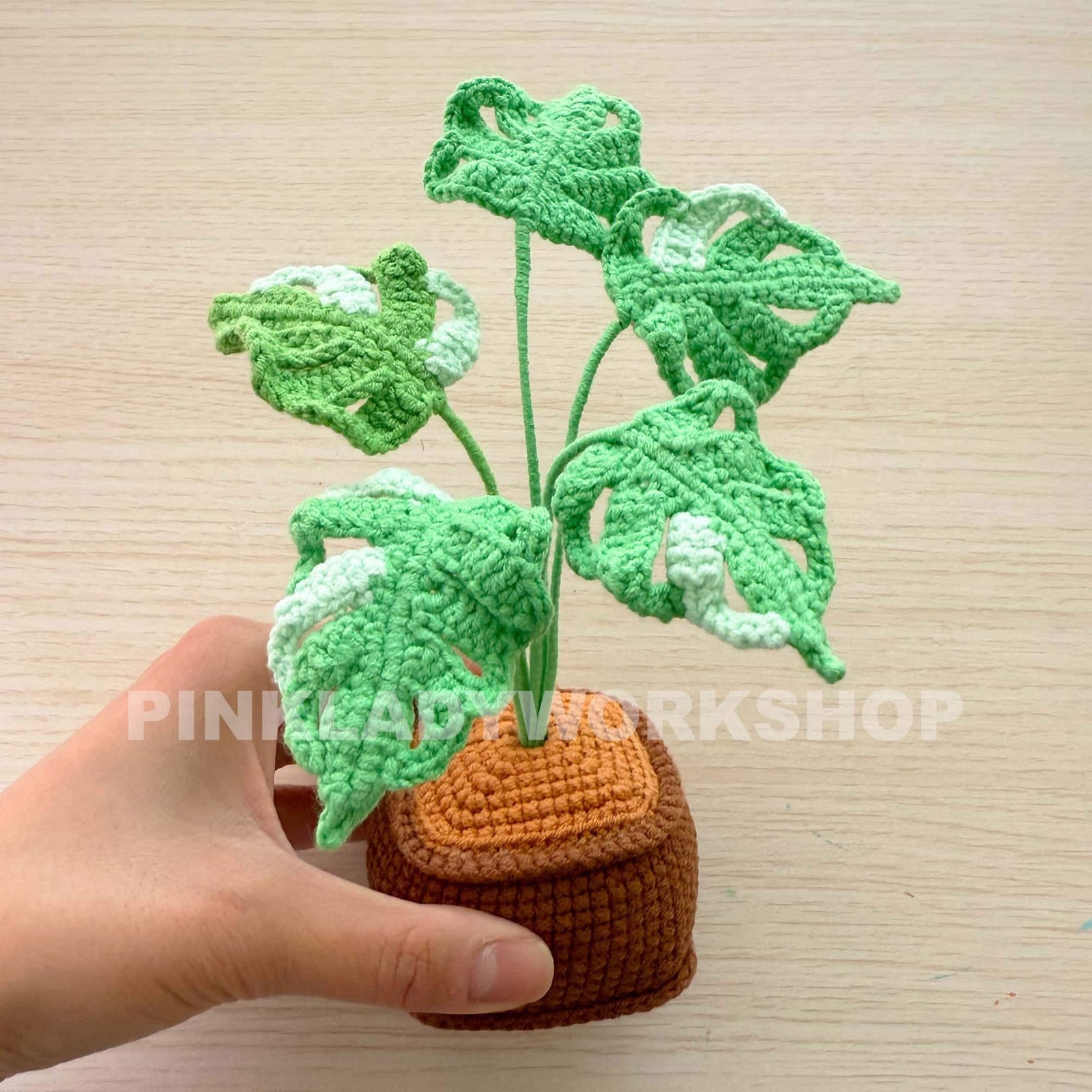 Handmade Crochet Plant: Monstera, Succulent, Fern