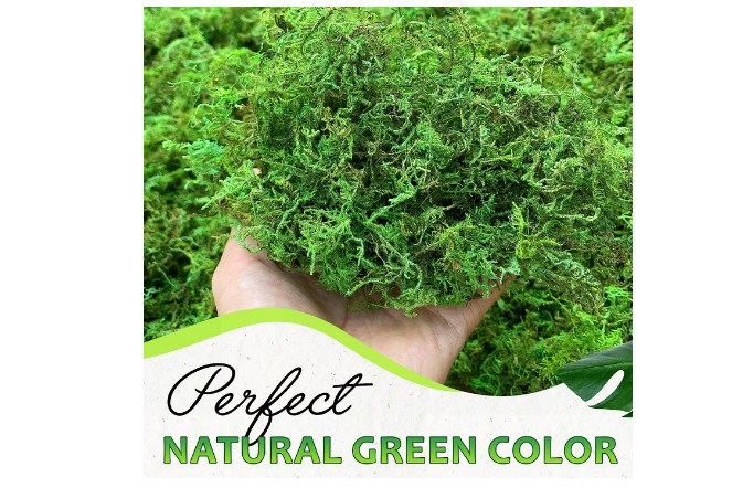 Artificial Moss Potted Plants Decorative Crafts Green Table Piece Wedding Party