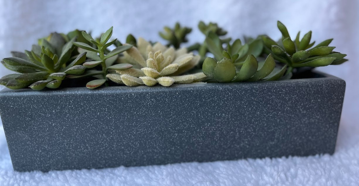 CRATE & BARREL ~ FAUX SUCCULENT ARRANGEMENT IN GRAY CERAMIC PLANTER ~ 12″x5″x3″