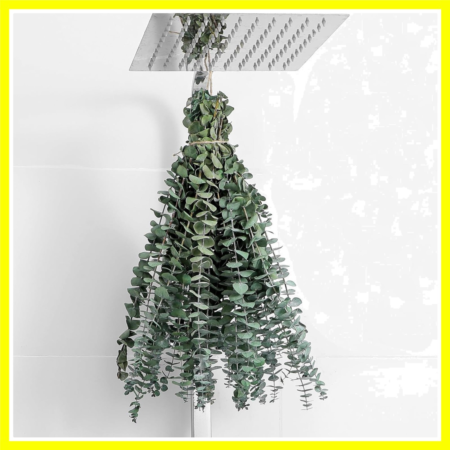 10 Pcs Dried Eucalyptus Stems 17″ Real Eucalyptus for Shower Hanging 100% Mad…