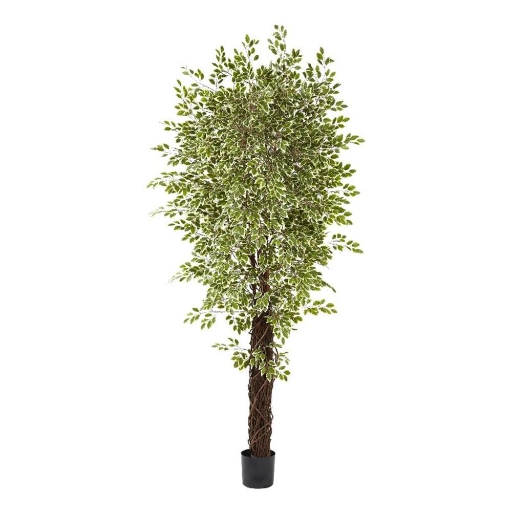 Nearly Natural 7.5ft Variegated Mini Ficus Tree in Green