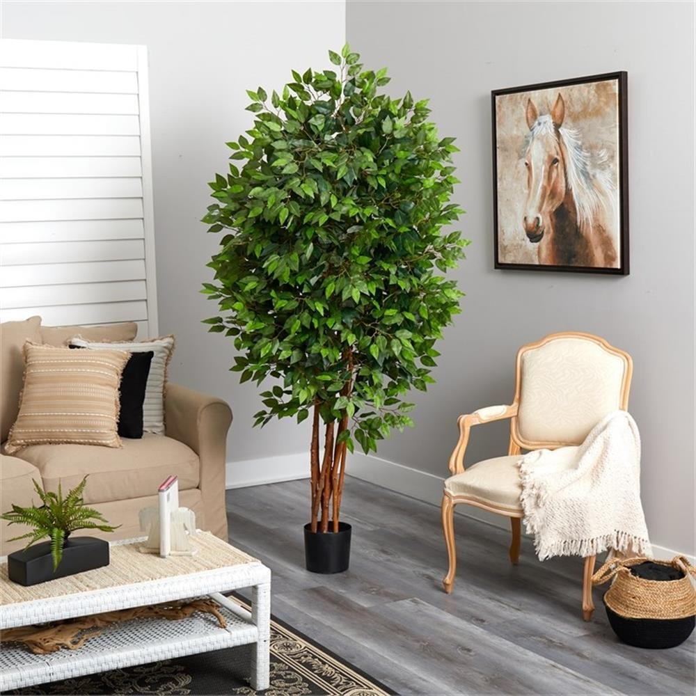 Pemberly Row 78″ Deluxe Ficus Tree with 2500 Leaves in Green/Black