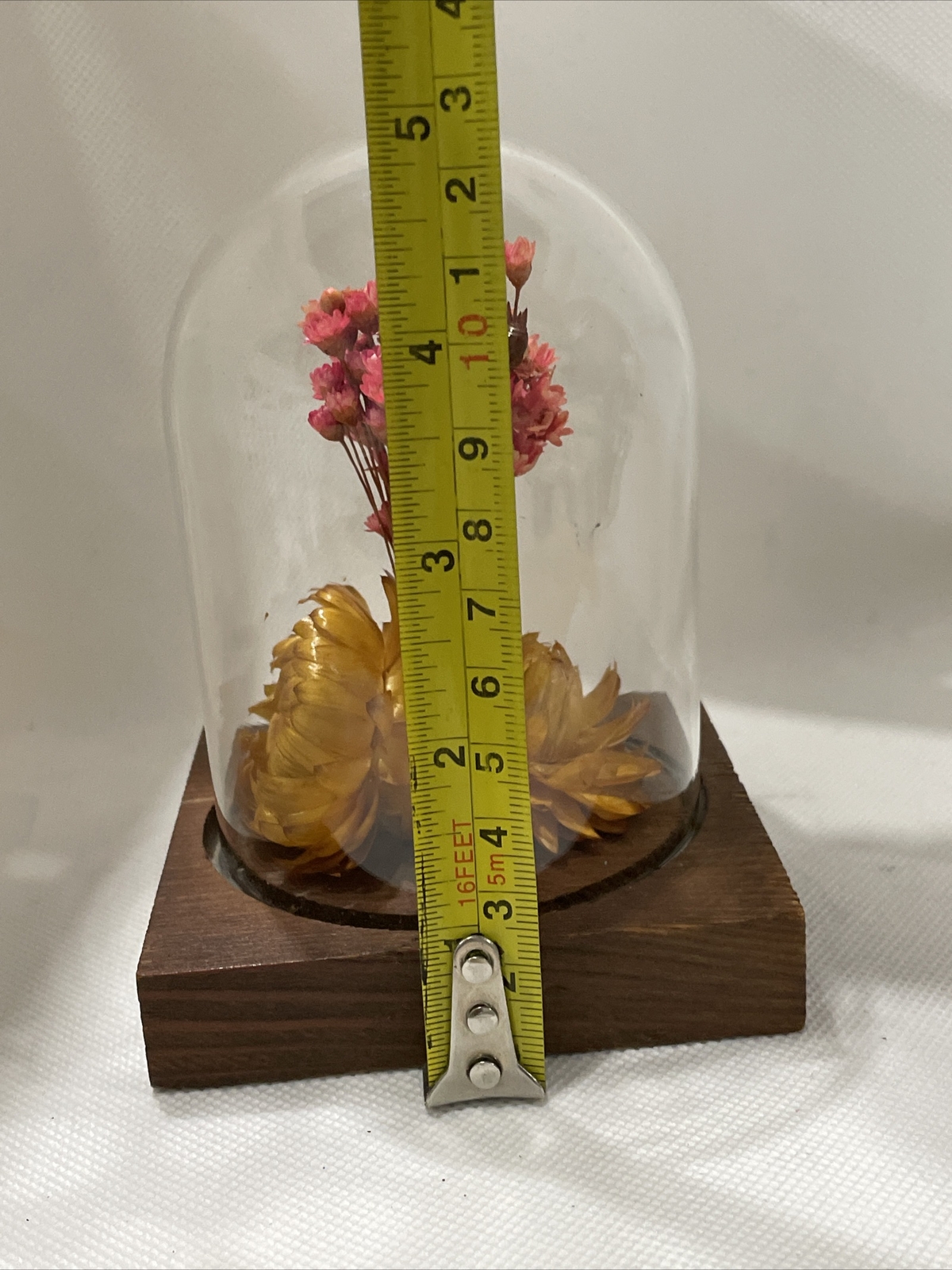 Vintage Leonard Creations California Dried Flower Glass Dome on Wood Base