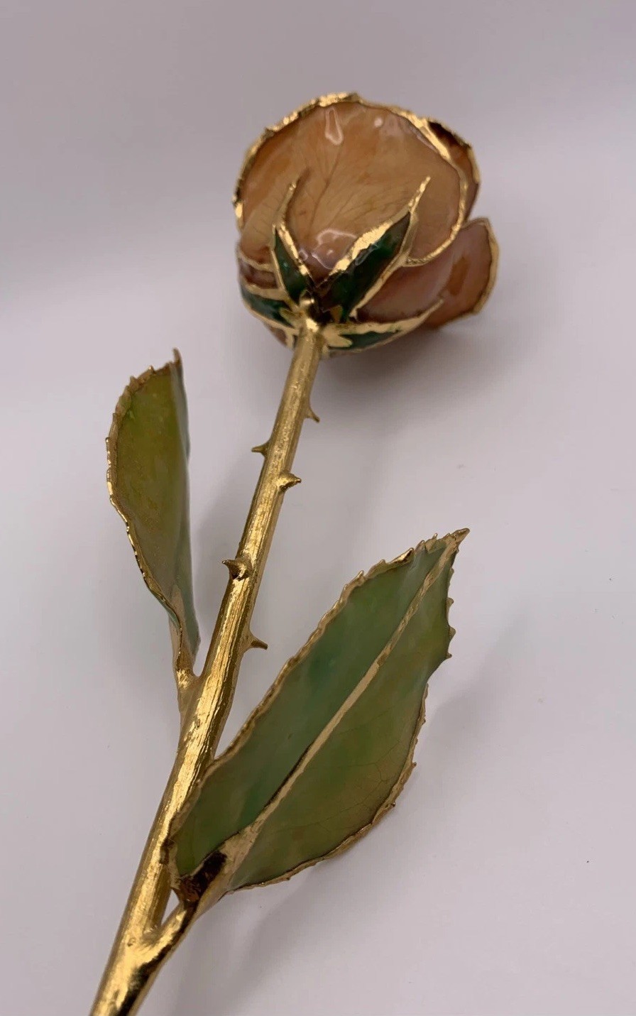 Real Rose Lacquer Dipped 24 Karat Gold Trim Lite Pink/Orange 11.5” With Vase