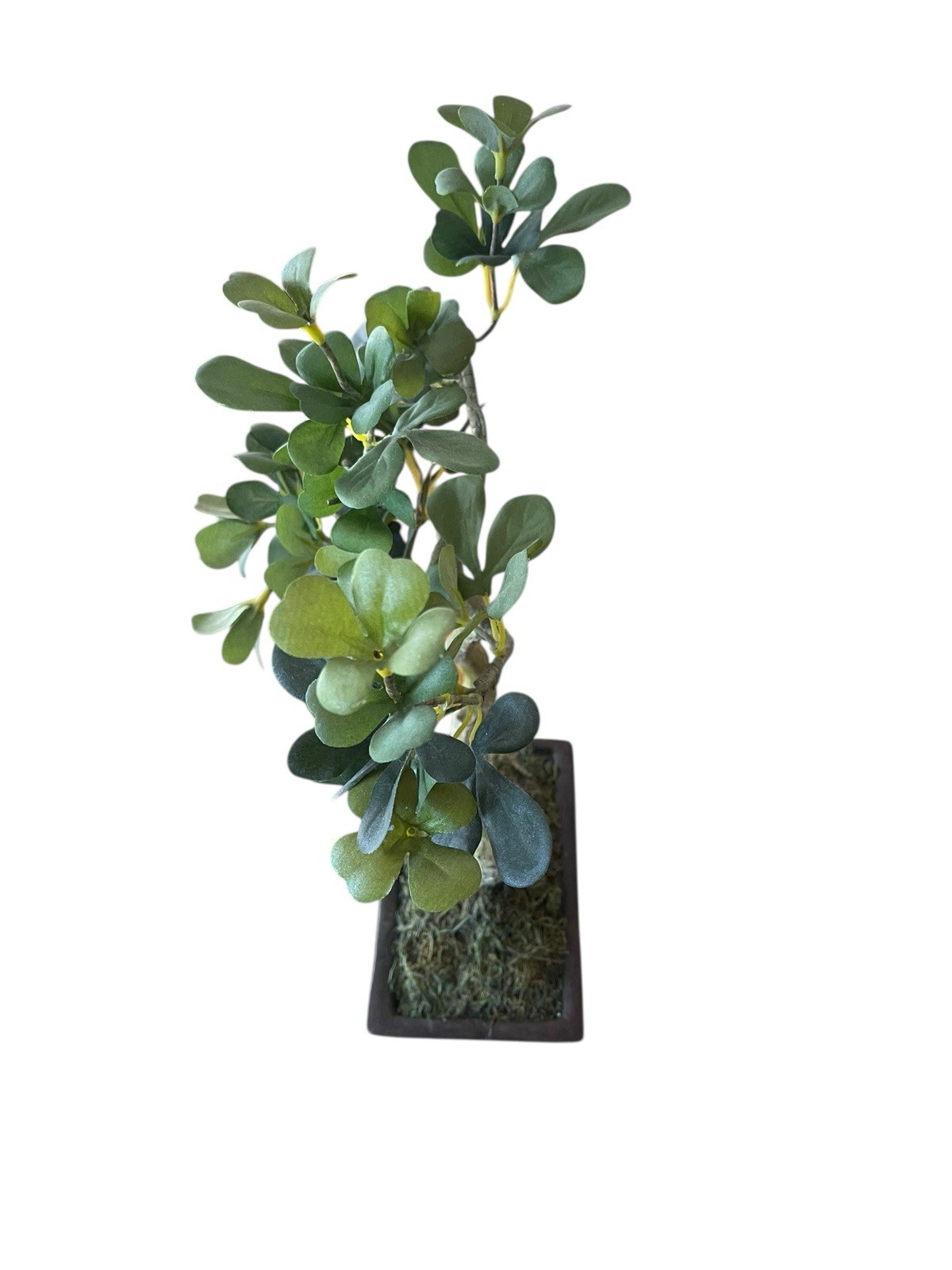 Artificial Penny Green Leaf Bonsai 11” Tree In Ceramic Pot Office Decoration