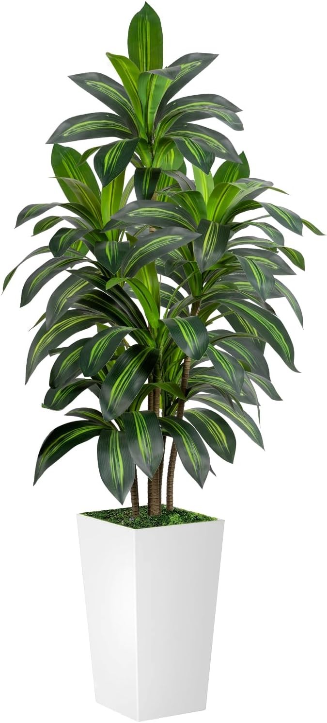 Dracaena Tree 6FT Artificial 72in Tall Faux Dracaena Tree W/ 15.7 White Planter