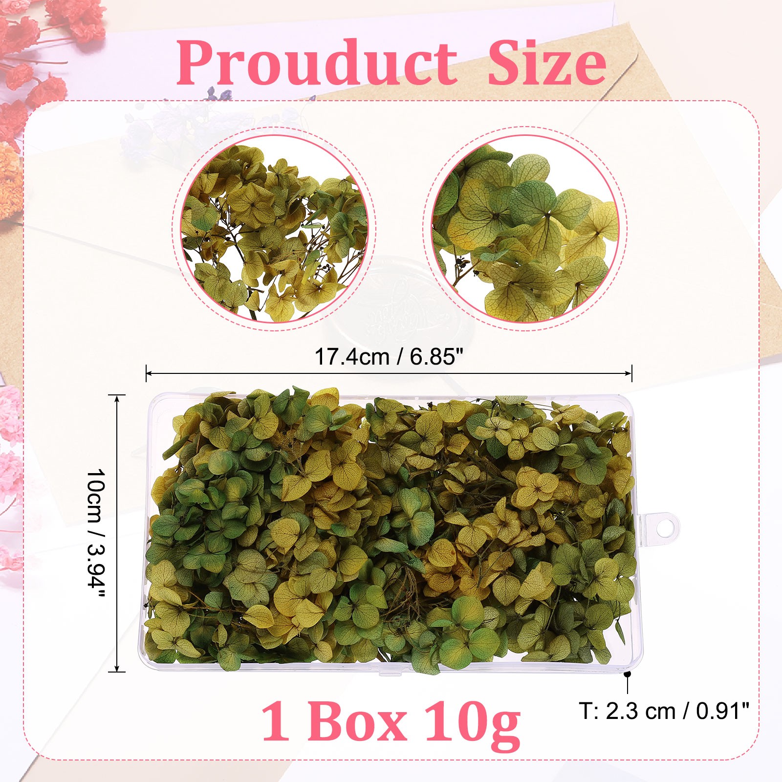 10g Mini Dried Hydrangea Flower Natural Pressed Flower Gradient Dark