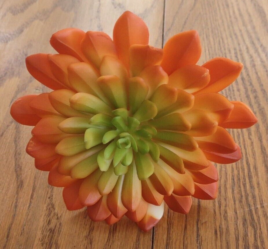 Pier 1 Flower Succulent with Vibrant Orange/Yellow/Green Colors-NEW-SHIP 24 HRS