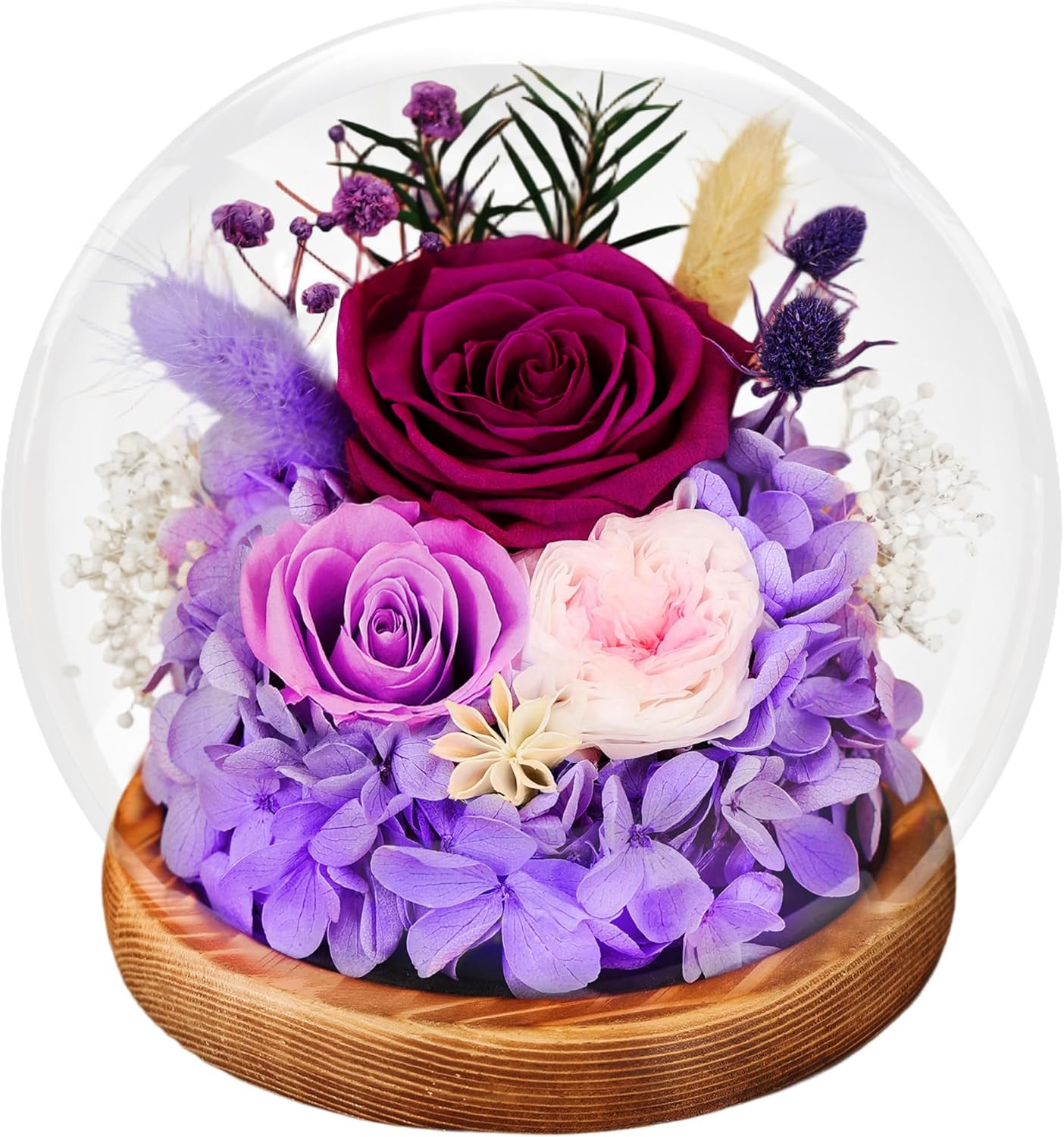 Preserved Rose Forever Flower with Light, Flowers for Delivery Prime, Birthday G
