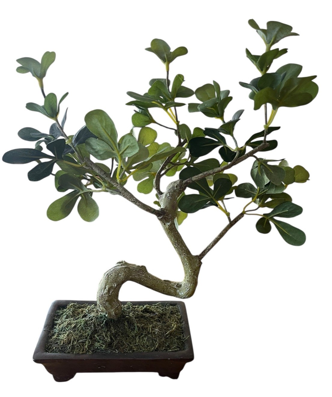 Artificial Penny Green Leaf Bonsai 11” Tree In Ceramic Pot Office Decoration