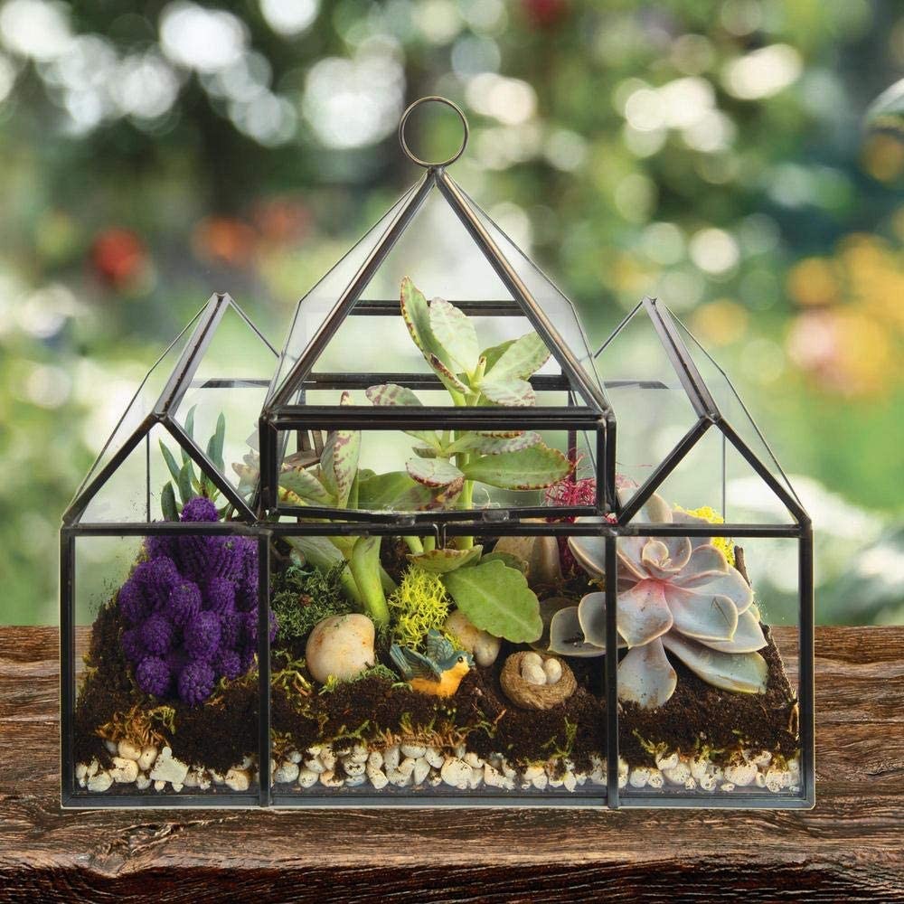 Deco Glass Geometric Castle Terrarium (25 x 12 x 21 cm) – Succulent & Air Plant