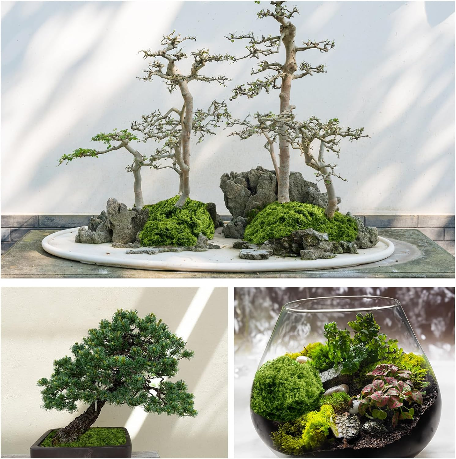 Fake Green Moss for Plants Indoor, 5.3OZ Artificial Moss for Potted Plants Decor