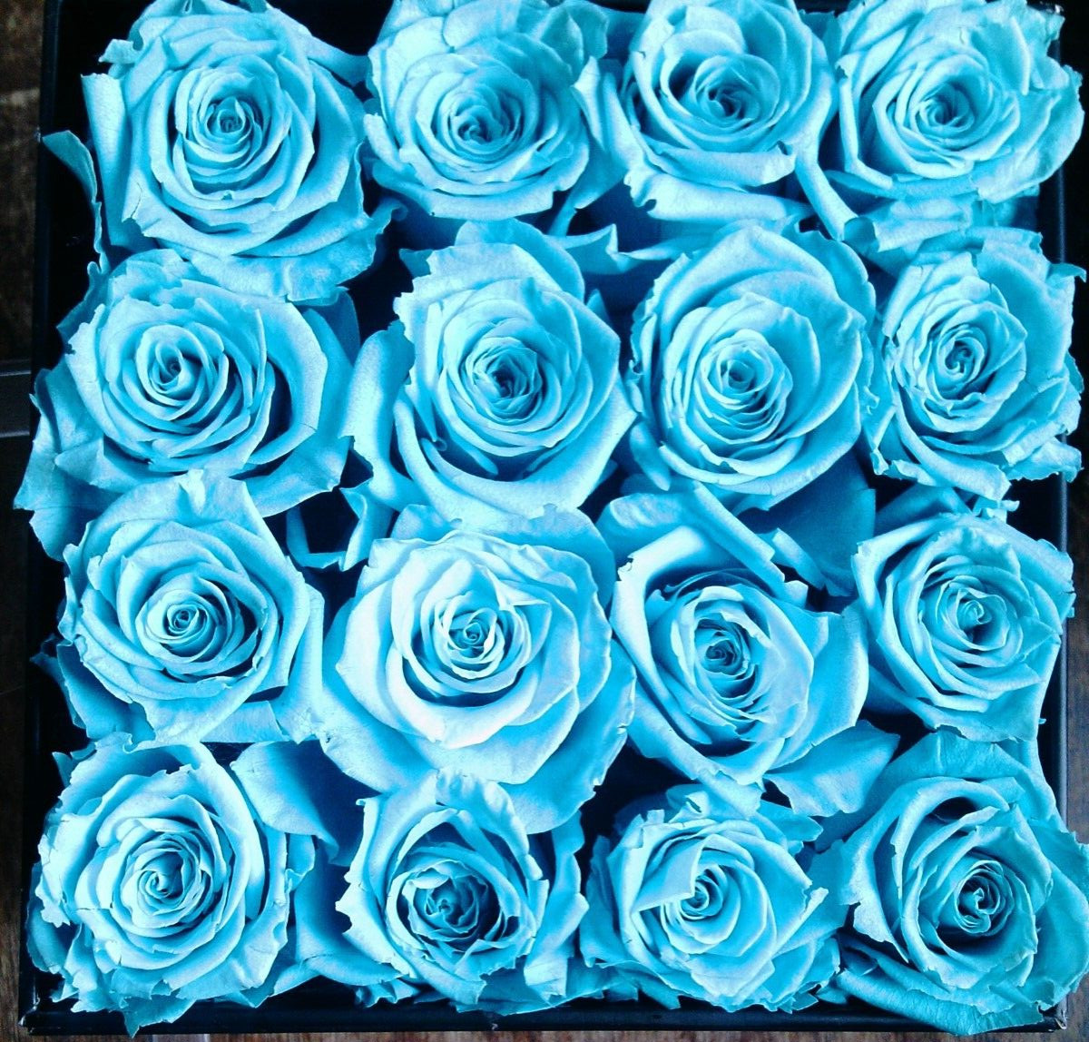 16 aqua preserved roses in (approx.) 6.5 x 6.75 x 7.5 inch black box PLEASE READ