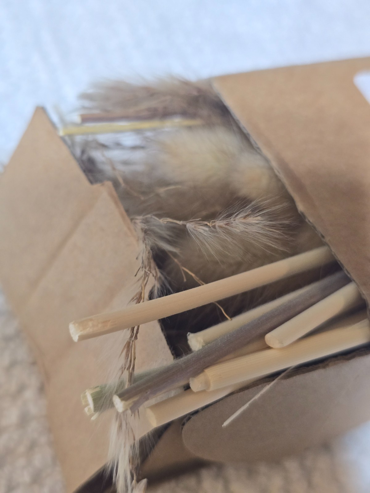 100pc Dried Pampas Grass Decor Bunny Tails Reed Bouquet Boho Flowers Vase Filler