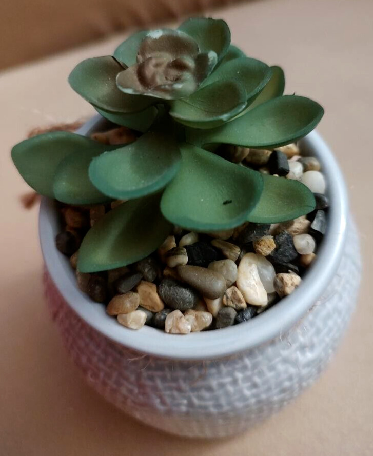 Rustic Ceramic Succulent Vase Jute Bow Textured Gray & White Planter Home Decor