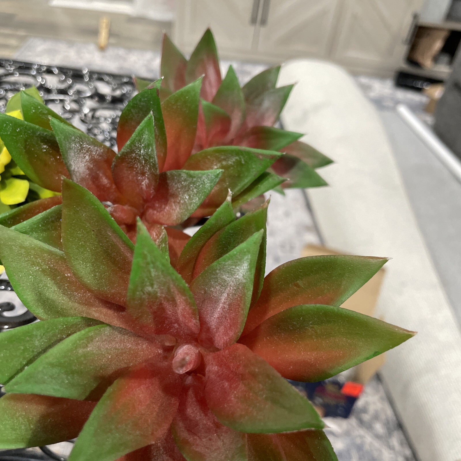 Mixed Lot Of 7 Artificial succulent faux Plant picks|NEW| NWT
