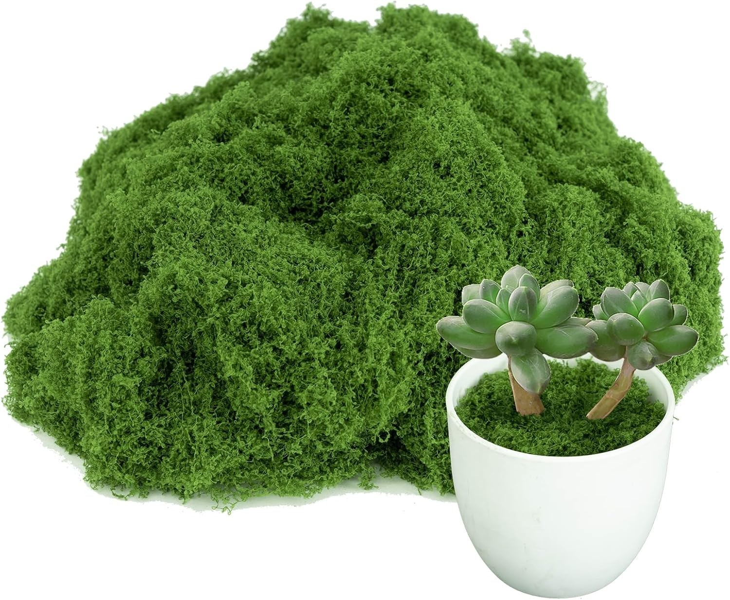 Odorless Green Moss for Creative DIY Projects – Indoor/Outdoor Use – 3.5oz