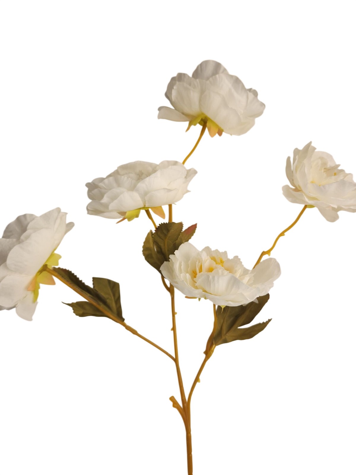 Cream Ranunculus Stems, Faux Ranunculus Flowers, Artificial Flowers, Ivory Flora