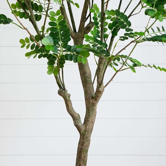 7′ Artificial Greco Citrus Tree with Real Touch Leaves Home Decor. Retail $329