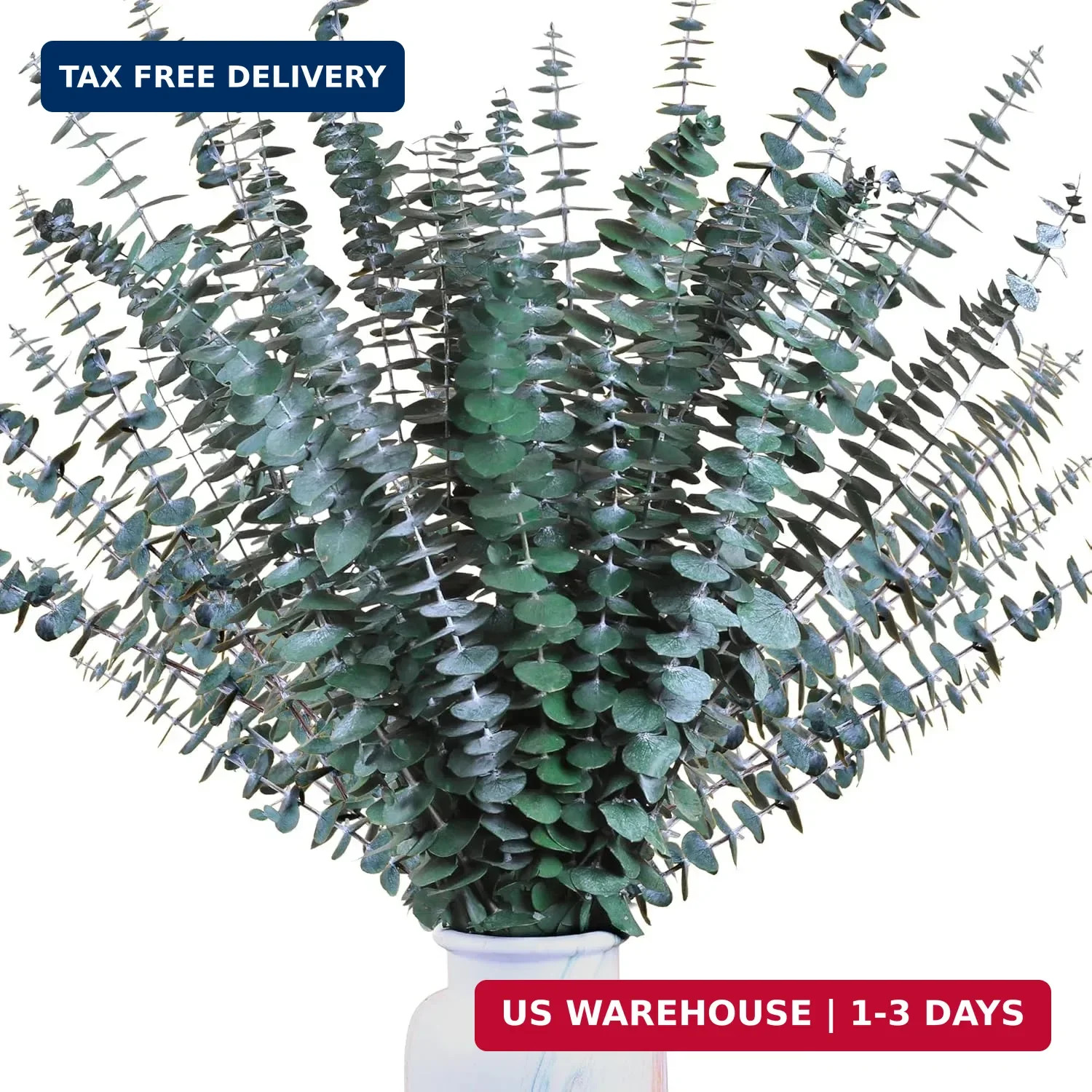30Pcs Dried Eucalyptus Stems, 17″ Real Preserved Eucalyptus Plant for Shower, Fr
