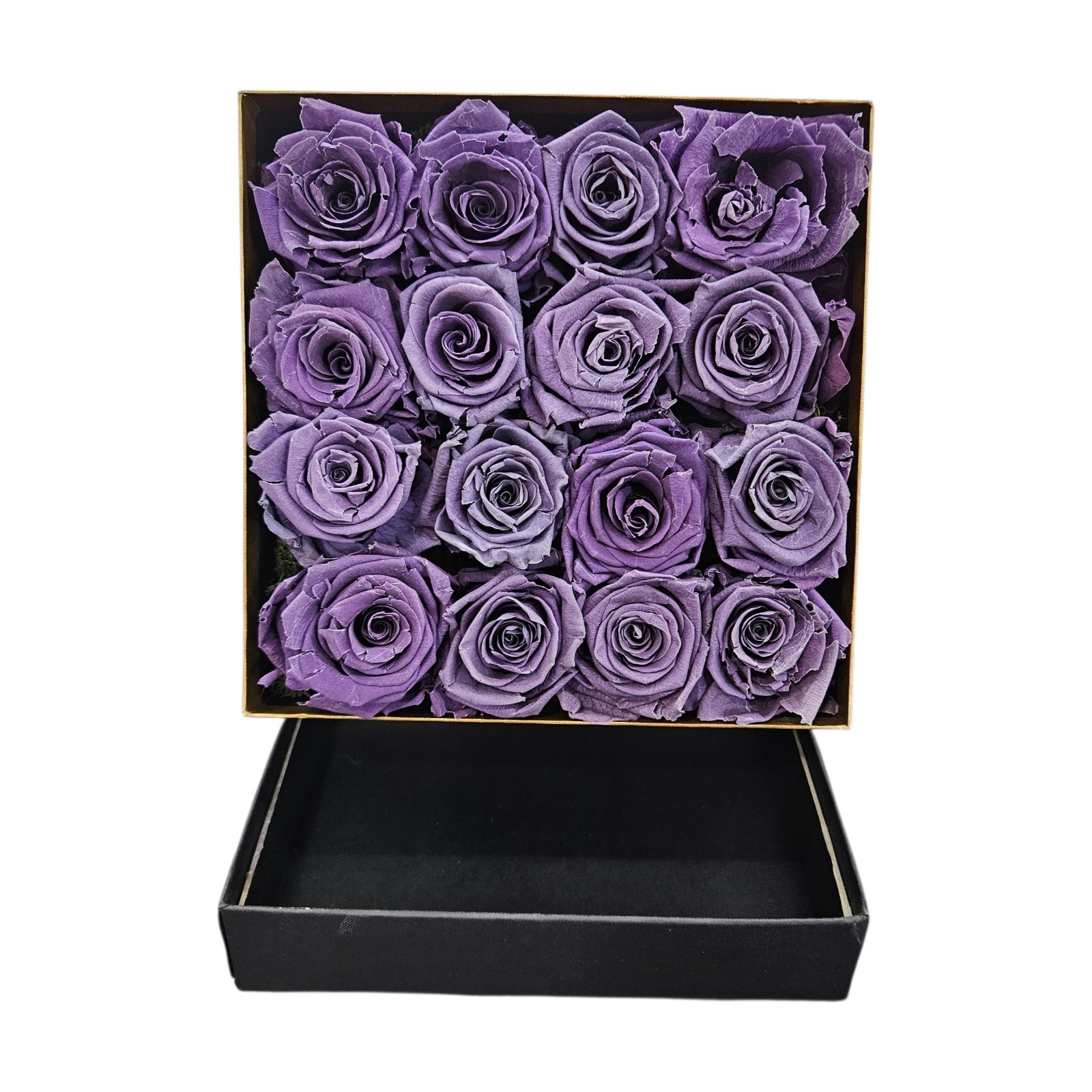 Forever Purple Roses Preserved Eternal Flowers Luxe Bloom 16 in Square Gift Box