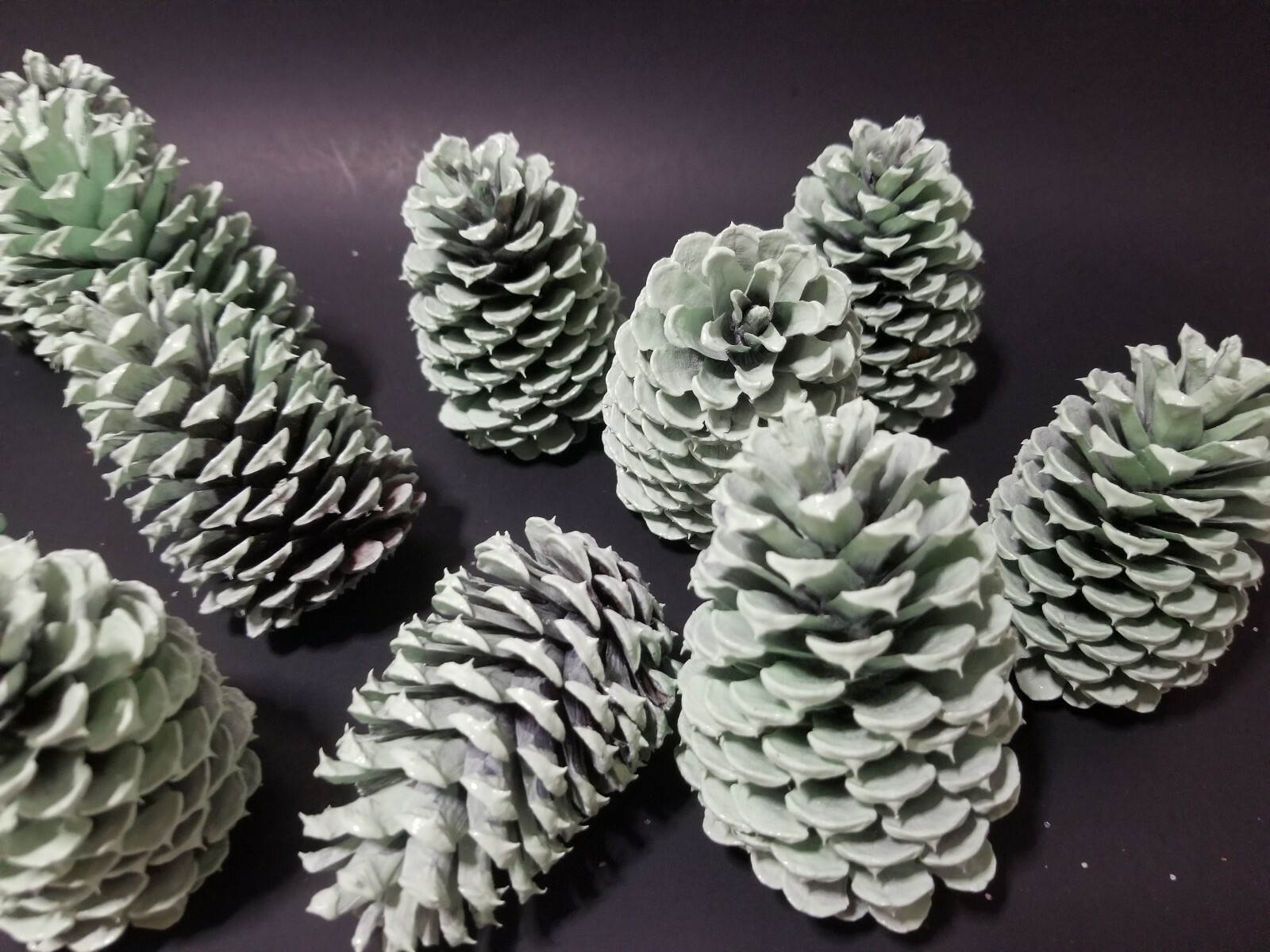🎅15 Mint Green Pine Cones Hand Painted Natural Premium Ponderosa Cones