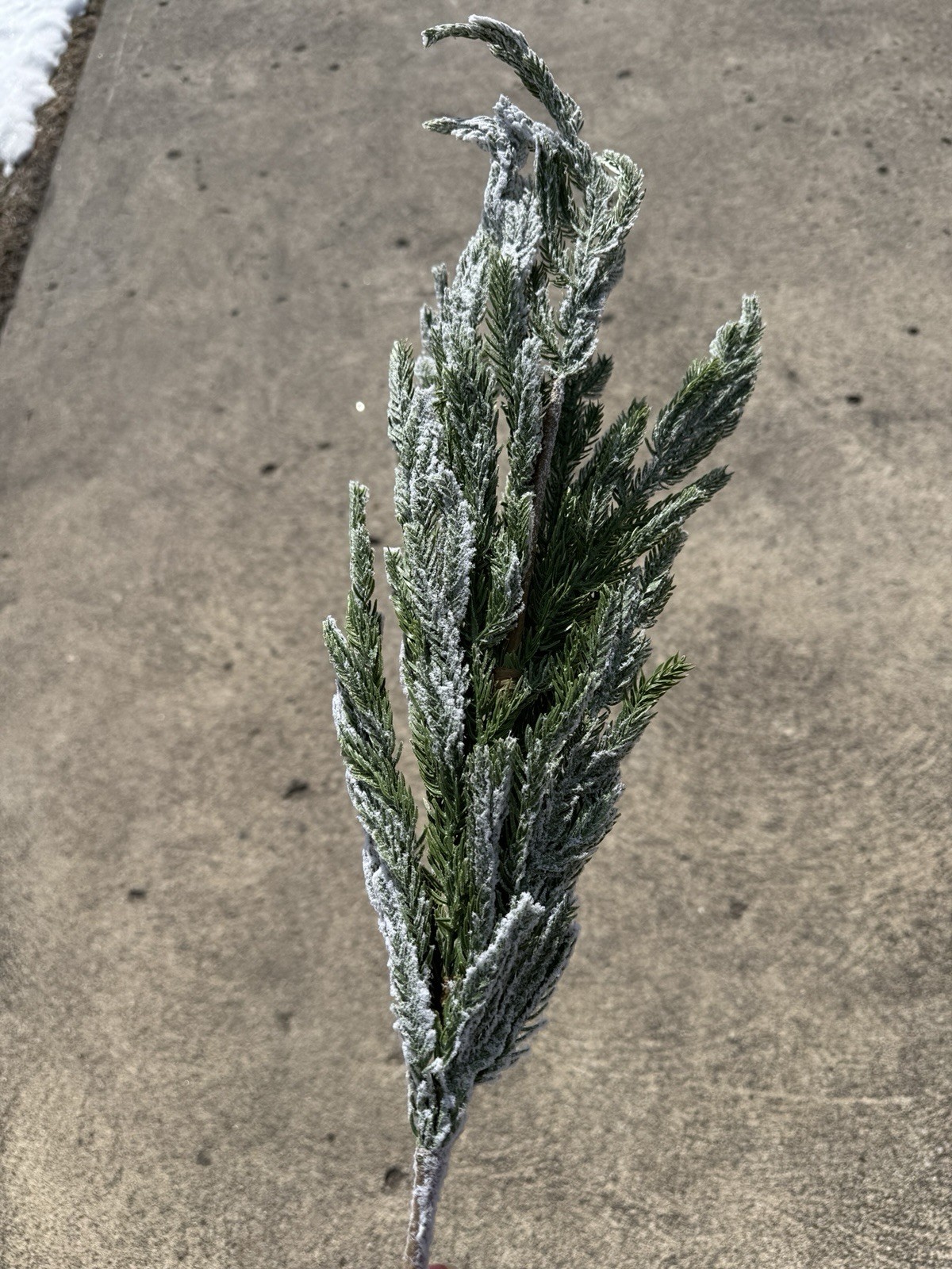 20 Pack Winter Artificial Snow Norfolk Pine Branches 36 Inch Faux Branches Fl…