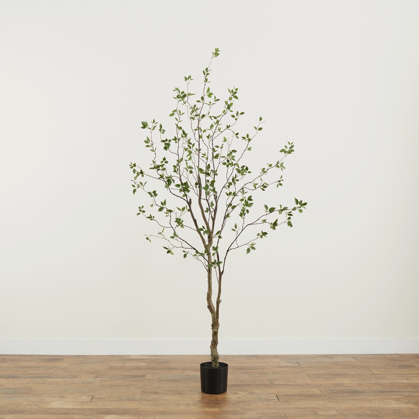 8’ Artificial Citrus Minimalist Tree Home Decor. Retail $259