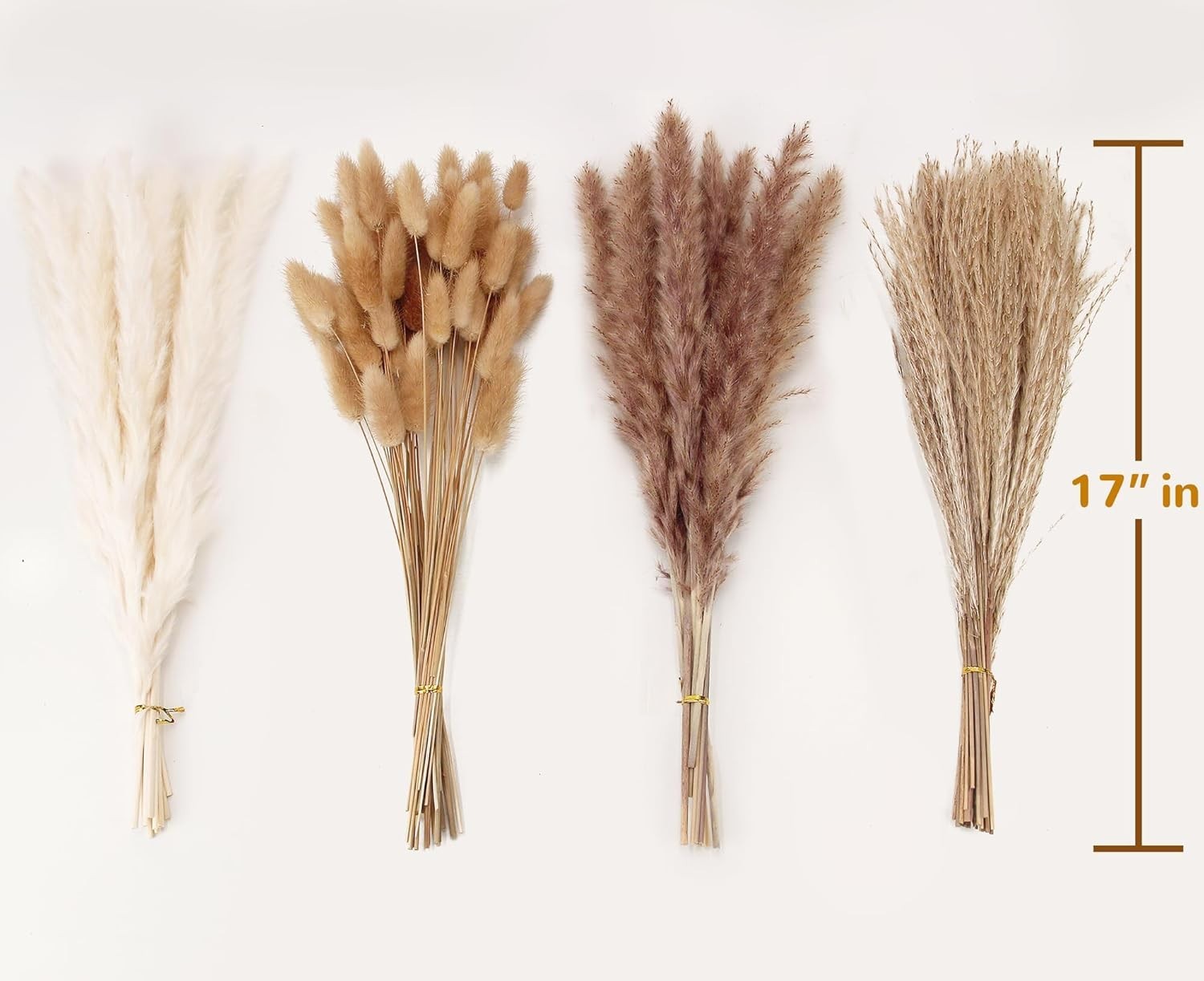 Natural Dried Pampas Grass Arrangement – Includes Bunny Tails, Gift-Ready Decor