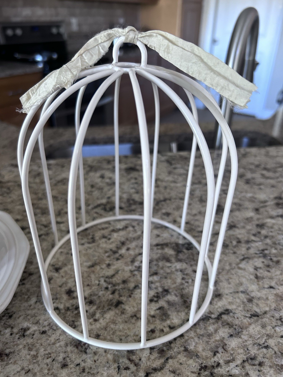 Metal Cloche With Creamer And Berries Centerpiece Vignette