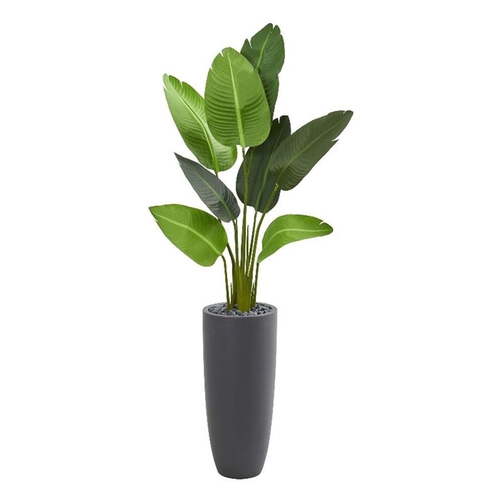 Pemberly Row 66″ Travelers Palm Artificial Tree in Gray Planter in Green/Gray