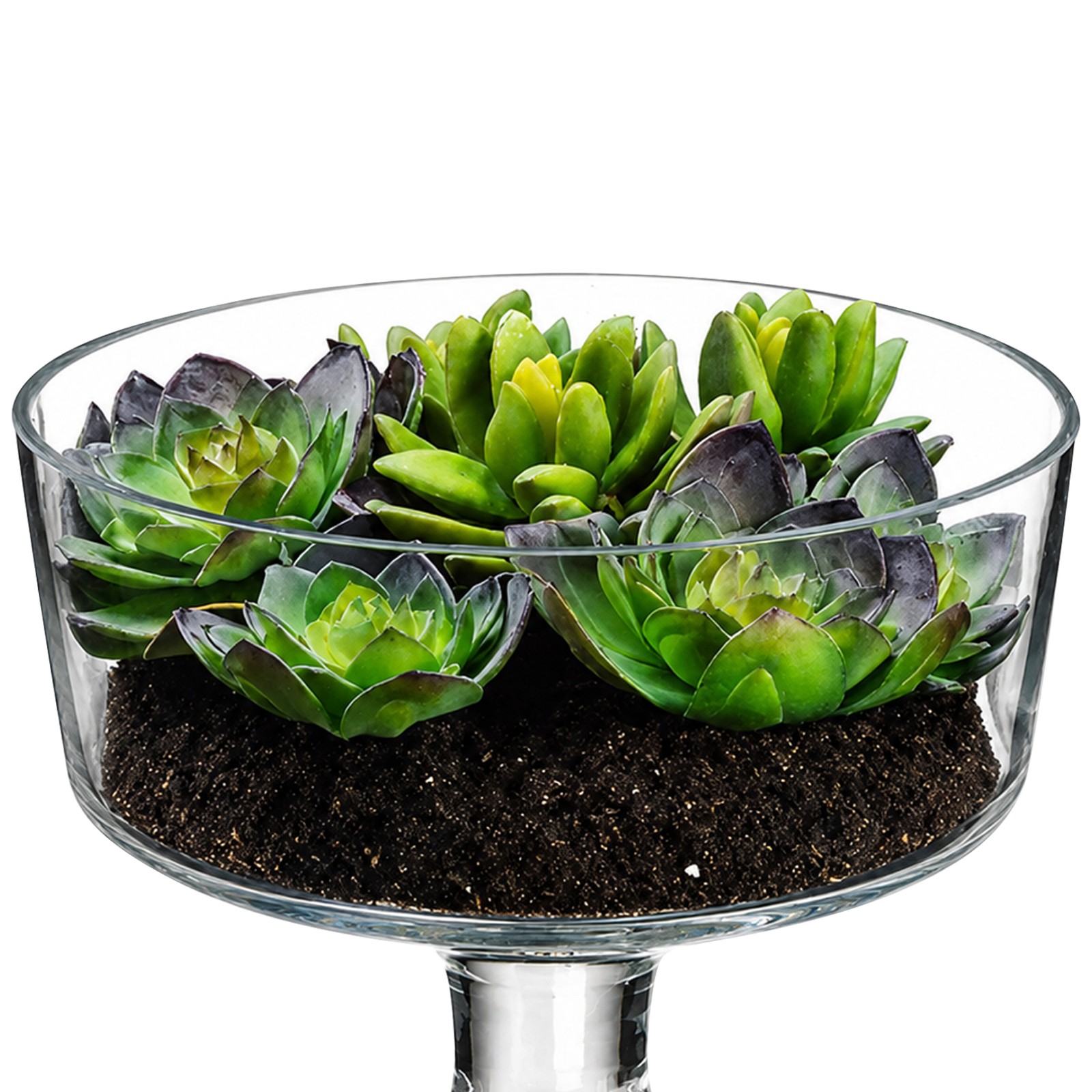 Allstate 6.75IN Artificial Spring Succulent Garden in Clear Glass Vase