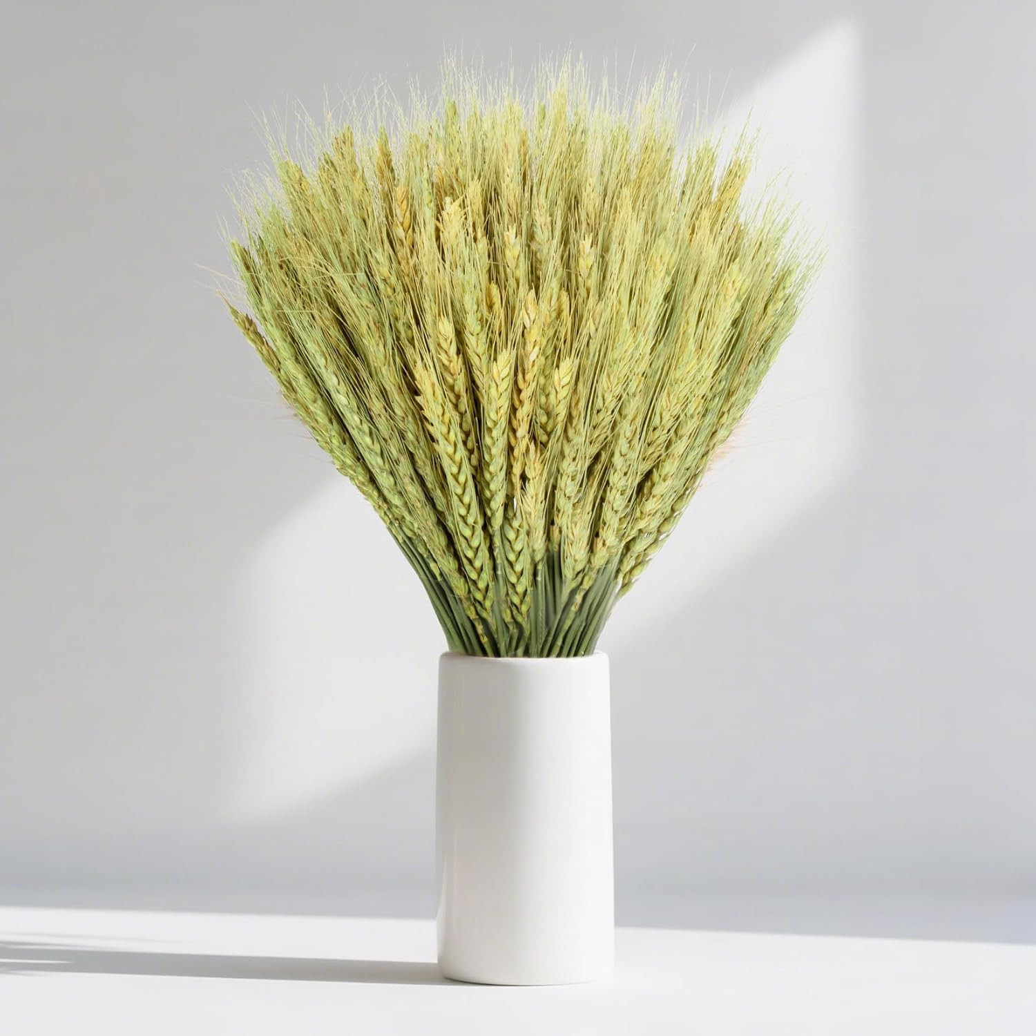 Dried Flowers for Vase – 50 Stems Natural Cyan Wheat Straw Grass 13.3 Inches Gra
