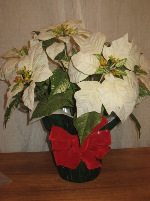 WHITE SILK POINSETTIA W/ DARK GREEN WRAP W/ RED VELVET BOW