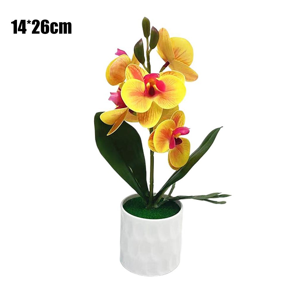Set of Two Potted Phalaenopsis Orchids Six Artificial Flowers for Festive Decor