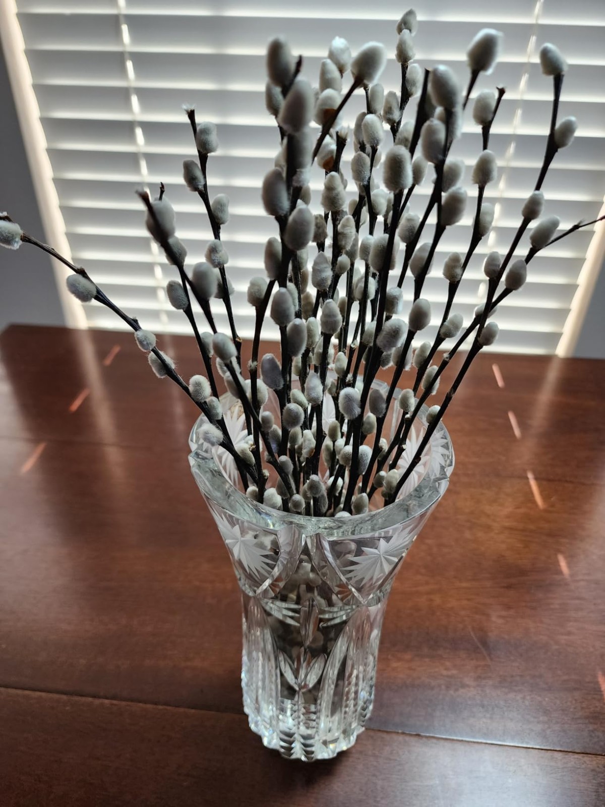 Real Dried Pussywillow Branches 20 Stems White Flowers Natural Greenery Home Dec