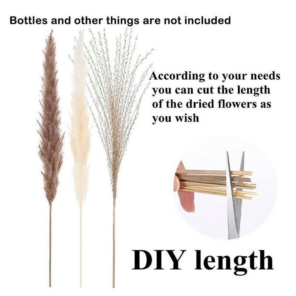 60PCS Pampas Grass Natural Dried Reed Flower Bunch Bouquets Home Wedding Decor
