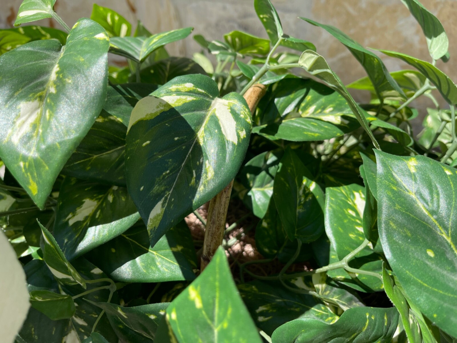 Large Artificial Variegated Philodendron in Handled Woven Bamboo Basket