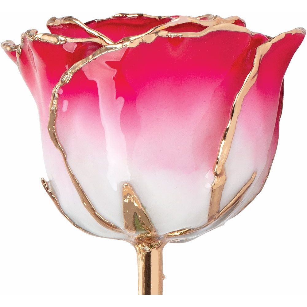 24k Gold Dipped Cream Red Lacquer Real Rose Valentine’s Day Holiday Gift