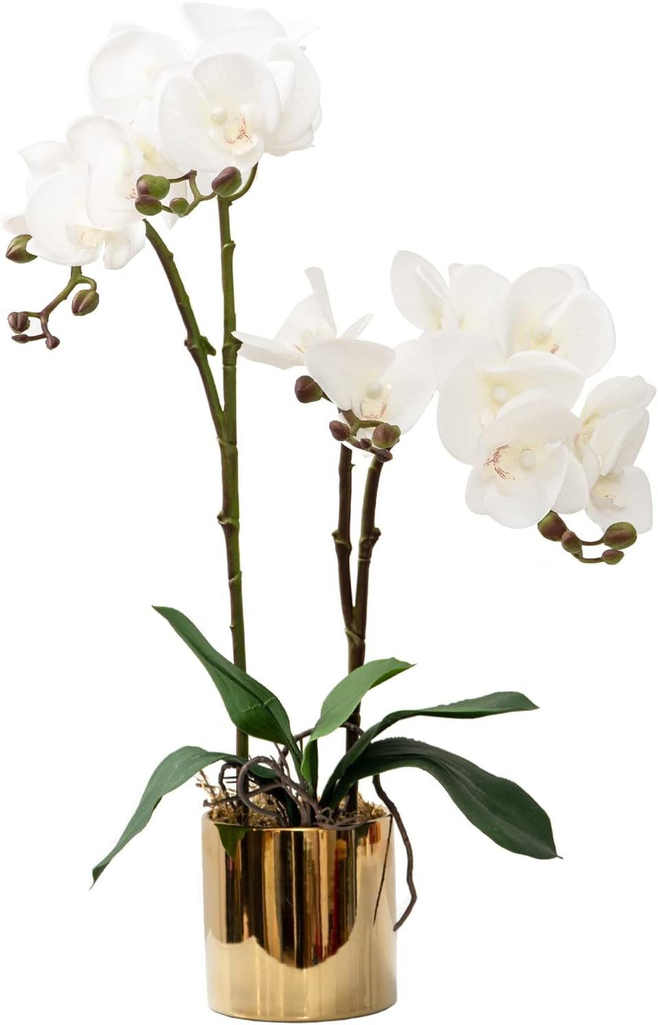 Real Touch White Orchid Arrangement in Ceramic Vase – 19.7” Home Decor
