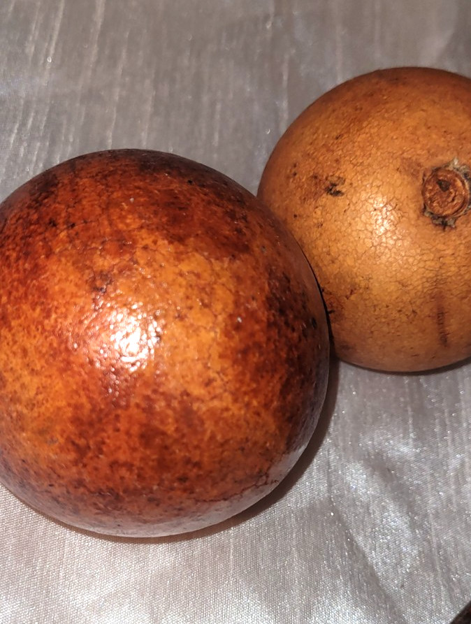 Decorative Natural Dried Tropical Seed Pods Set Of 4 Rustic Bowl Filler