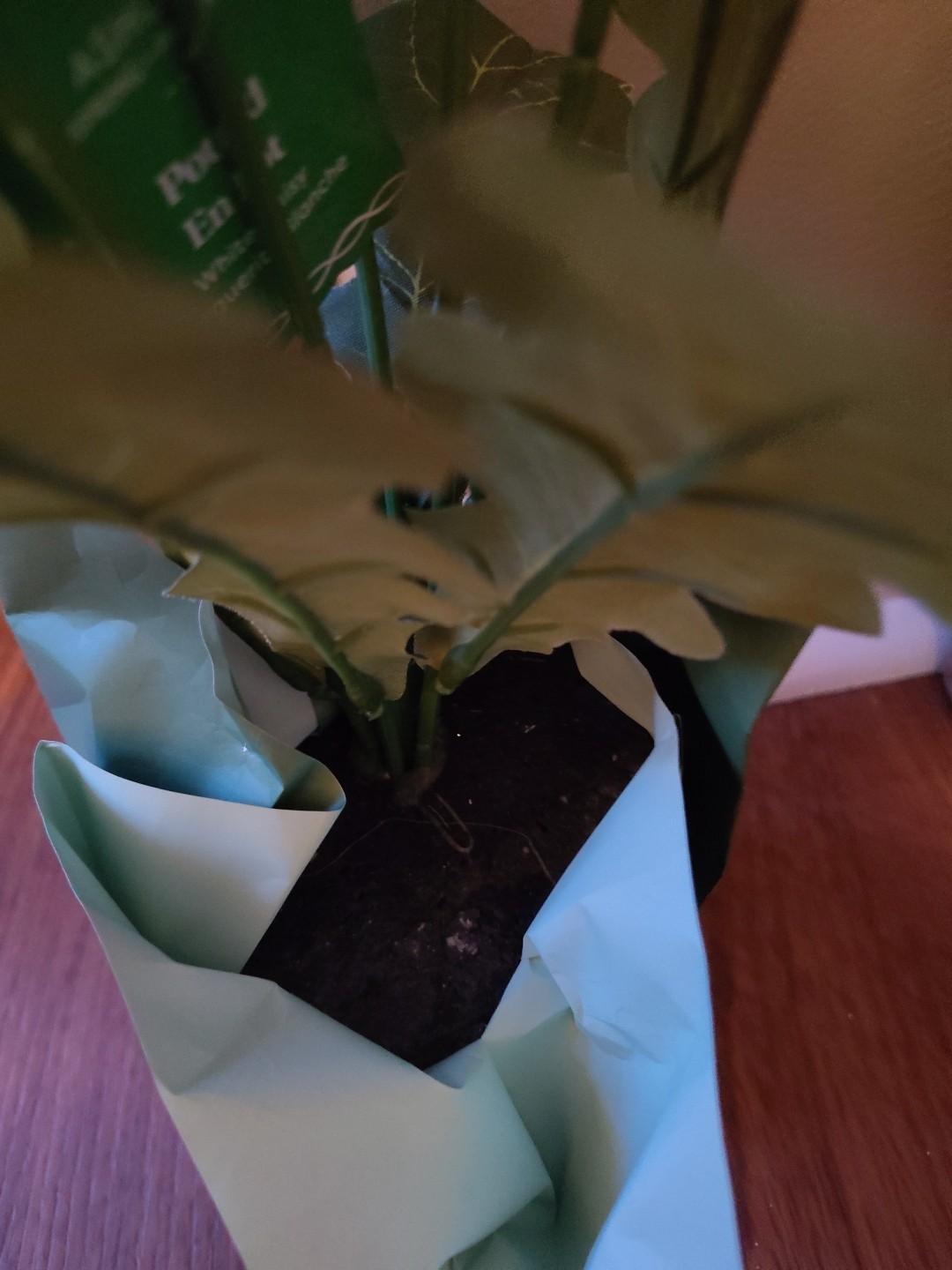 Artificial White Daisy In Pot With Paper